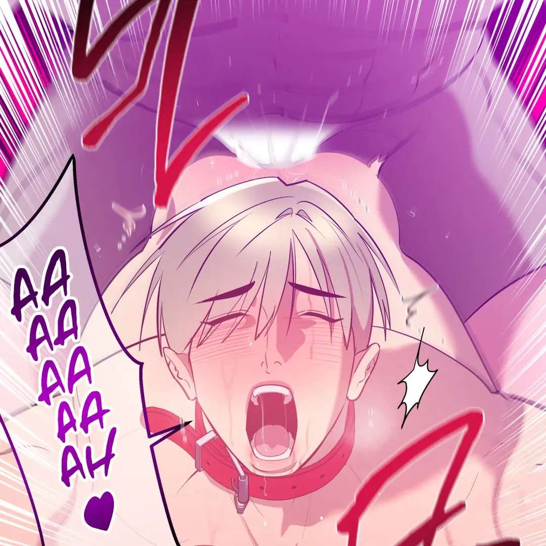 Read Bound By Desire chapter 6 image 81 on Lezhin