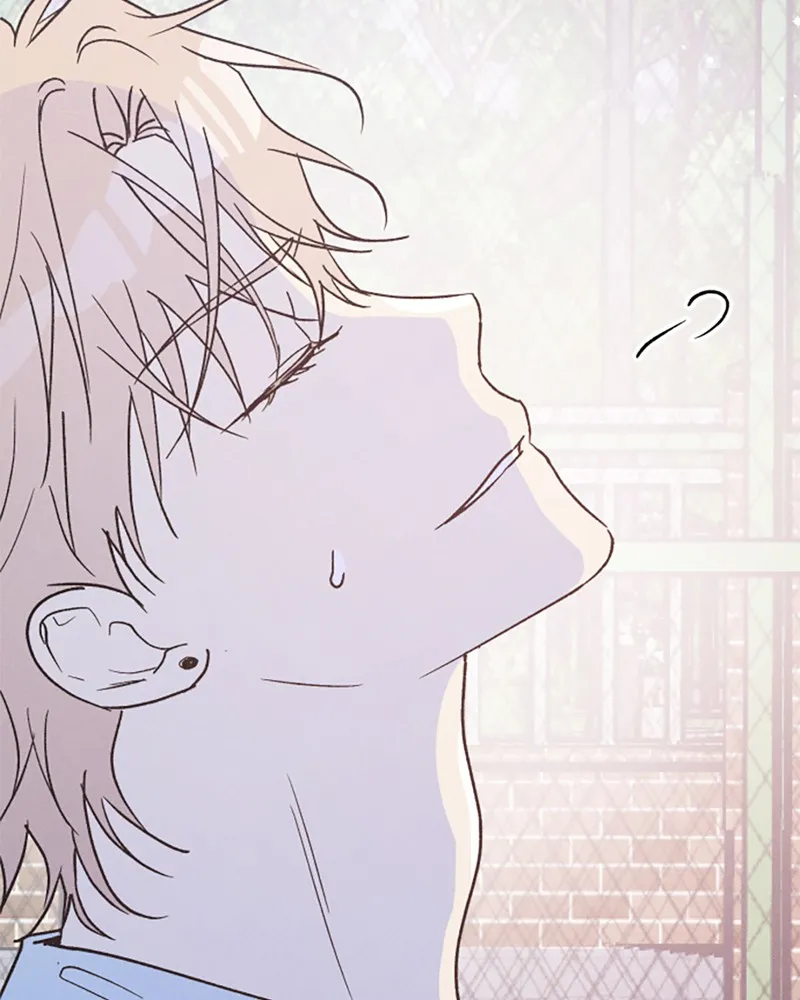 Read Boy-Friend