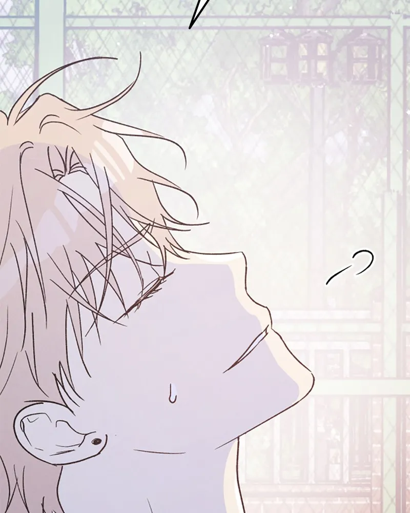 Boy-Friend's Rule Chapter 55 page 7 - 