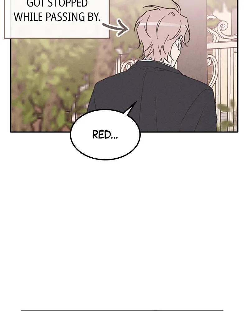 Read Boy-Friend