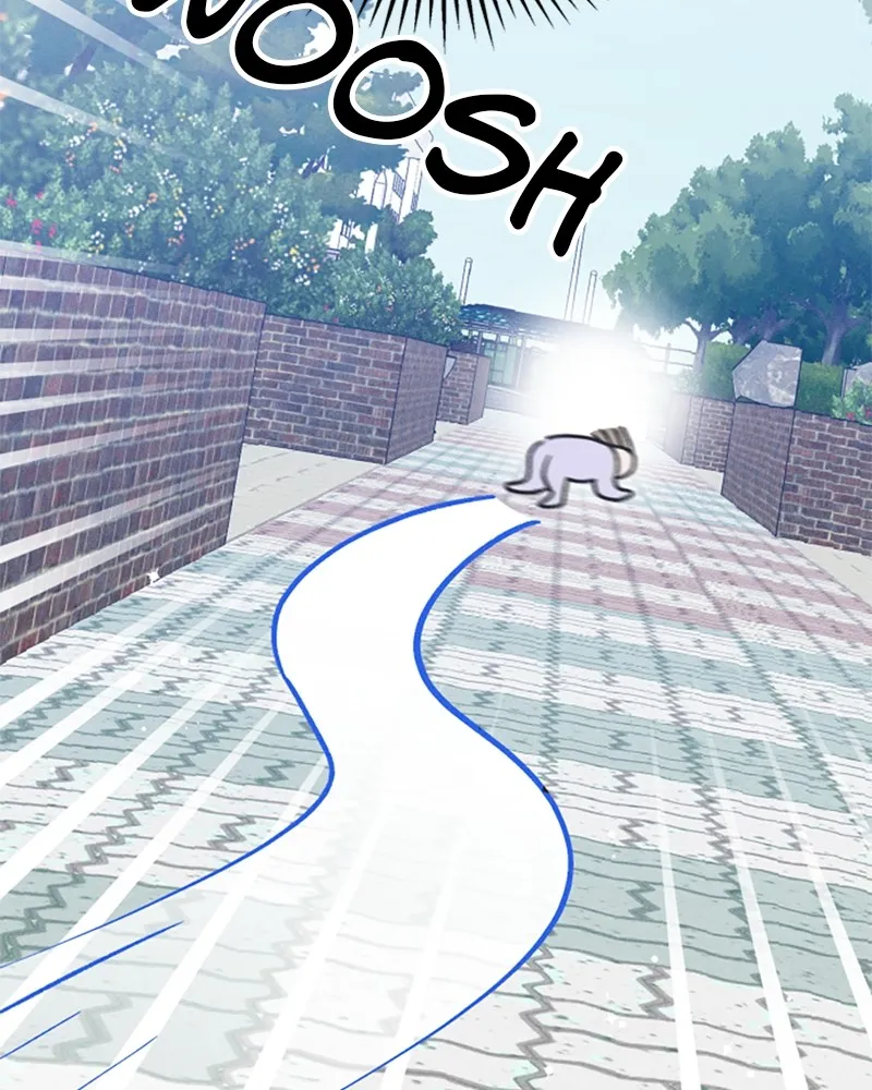 Read Boy-Friend