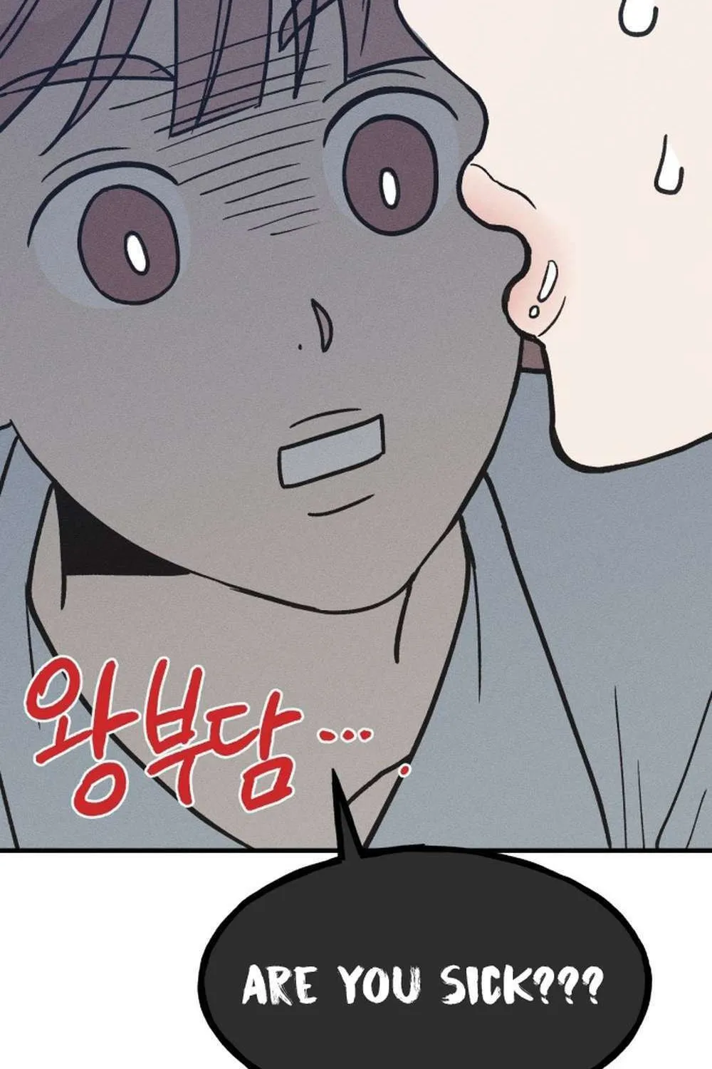 Read Boyfriend