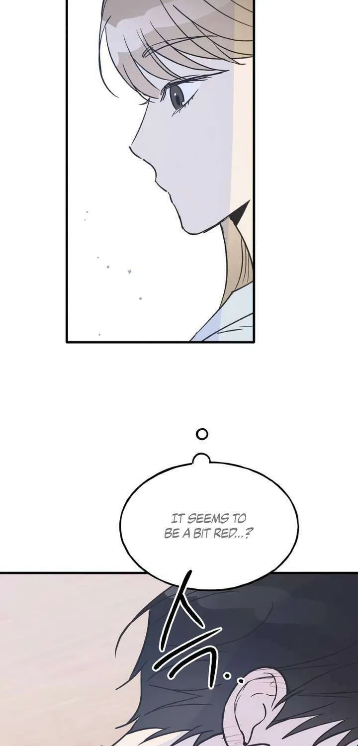 Read Boyfriend