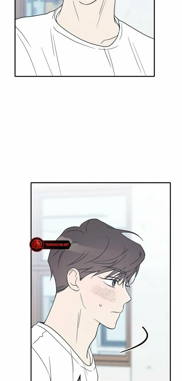 Read Boyfriend
