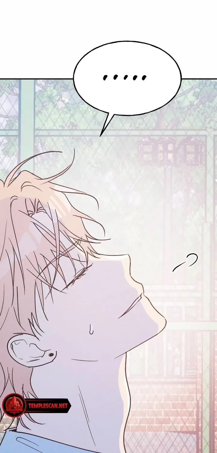 Read Boyfriend