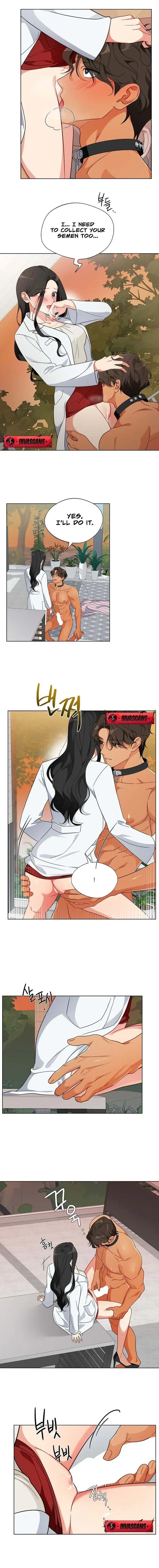 Read Breeding Protocol chapter 3 image 1 on Lezhin