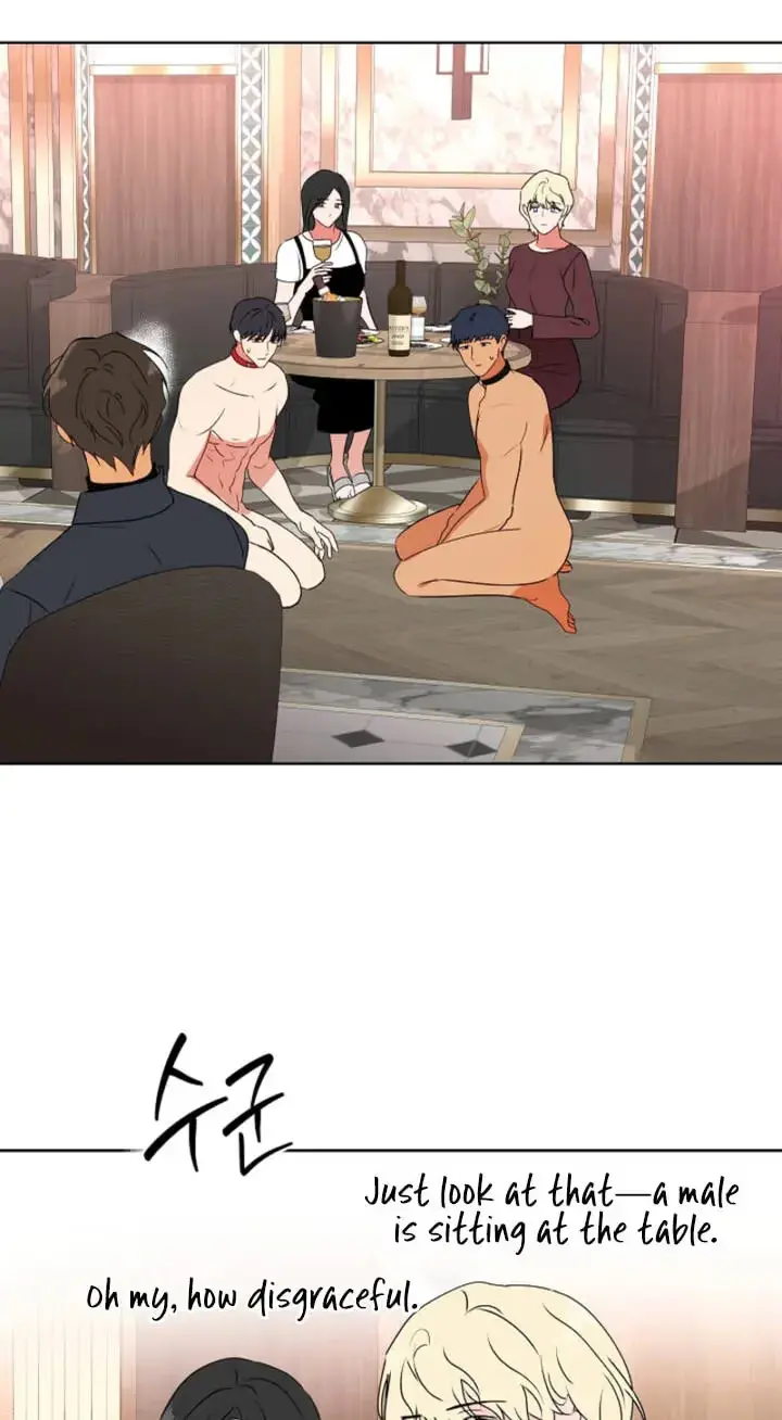 Read Breeding Protocol chapter 37 image 44 on Lezhin