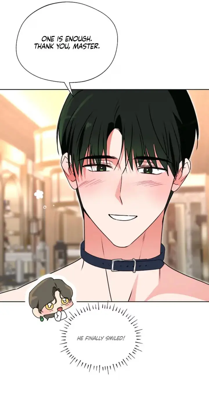 Read Breeding Protocol chapter 37 image 61 on Lezhin