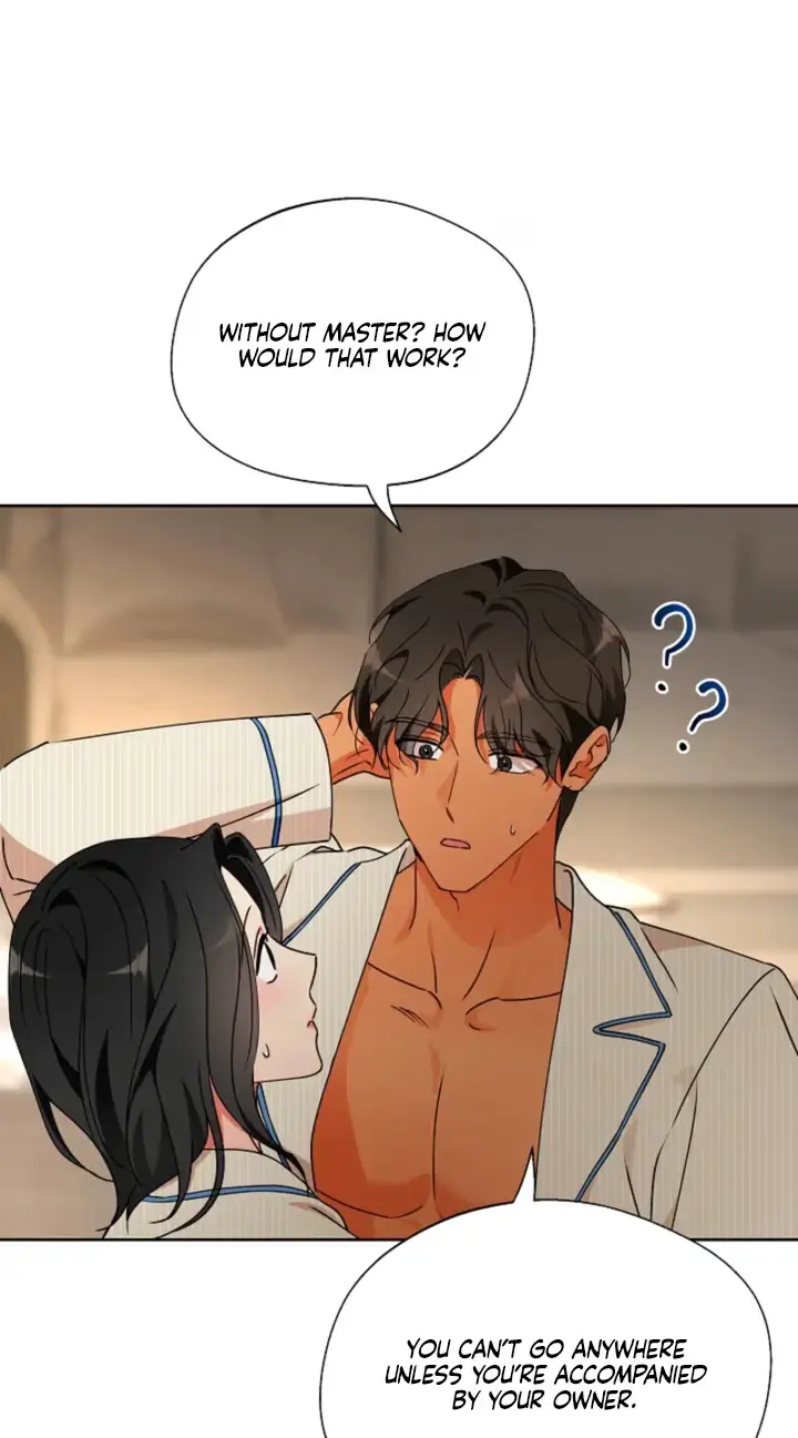 Read Breeding Protocol chapter 38 image 38 on Lezhin