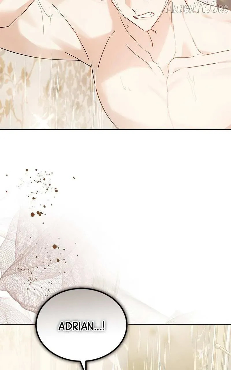 Bride of Obsidian Chapter 105 page 19 - 