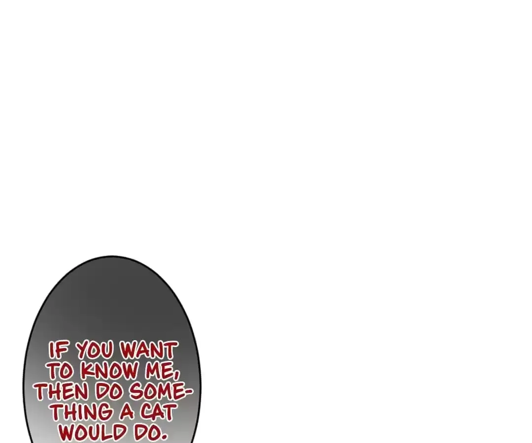 Bride of the Dawn Chapter 339 page 43 - 