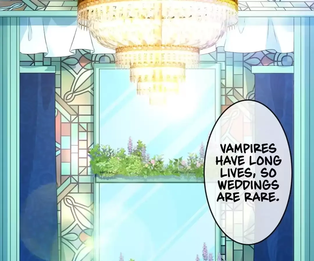 Bride of the Dawn Chapter 345 page 36 - 