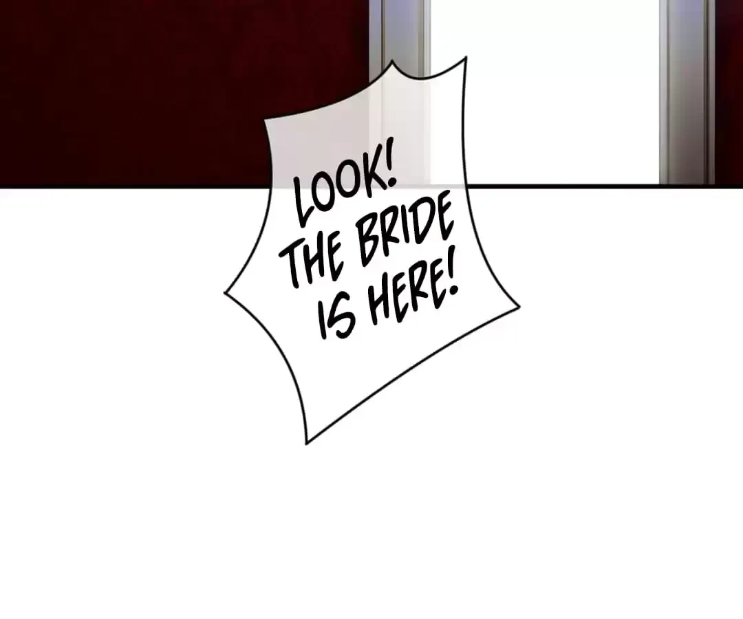Bride of the Dawn Chapter 349 page 14 - 