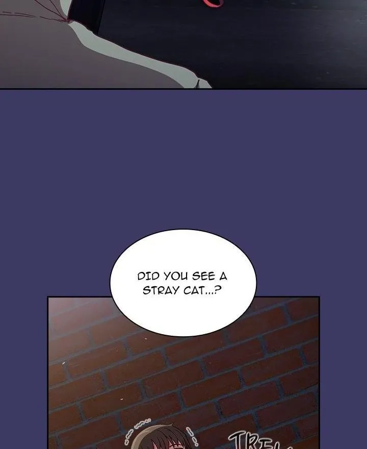 Read Bride-To-Be chapter 78 image 4 on Lezhin