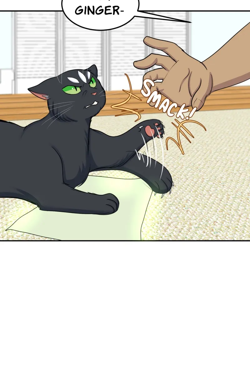 Brimstone and Roses Chapter 107 page 12 - 
