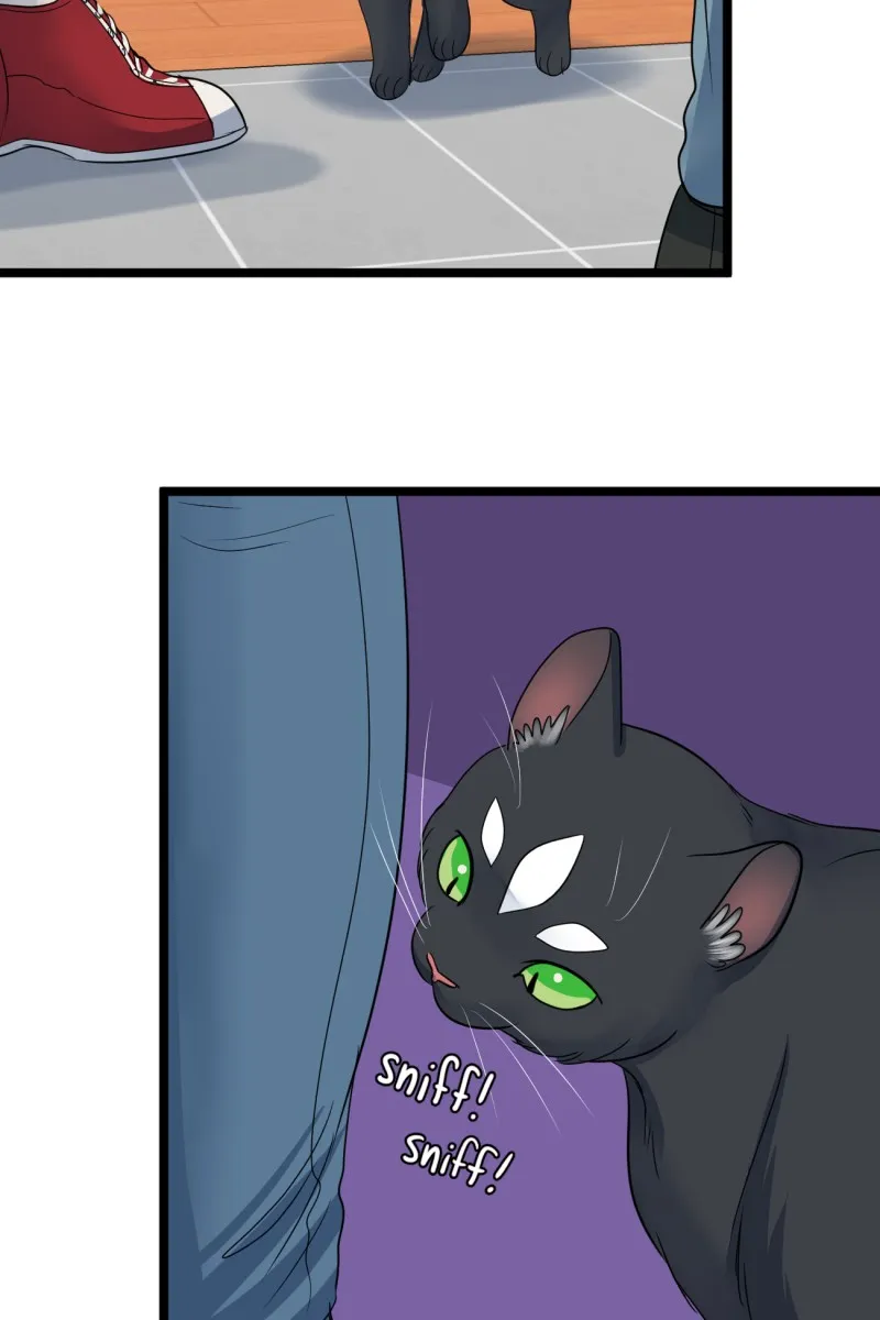 Brimstone and Roses Chapter 77 page 17 - 