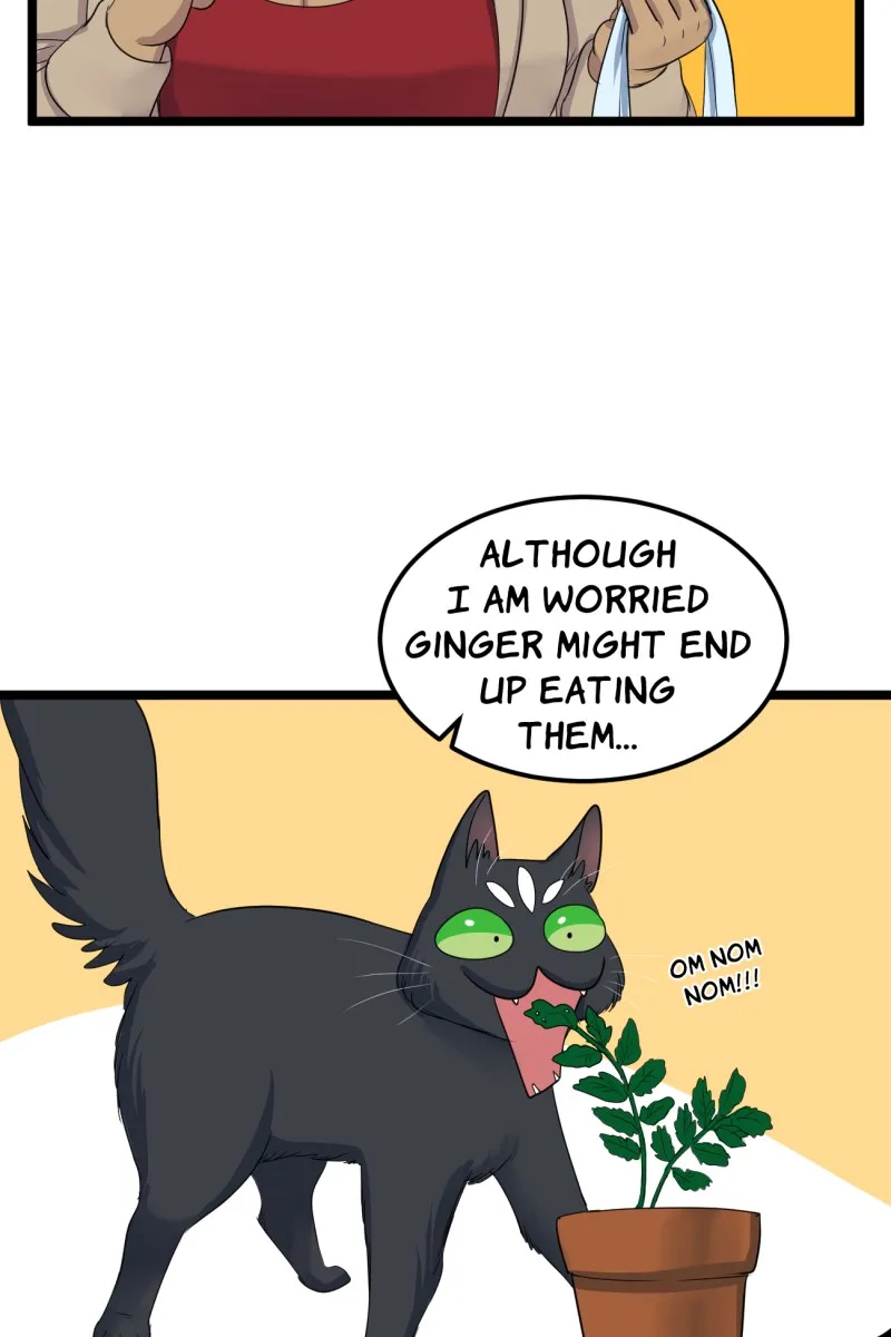Brimstone and Roses Chapter 77 page 7 - 