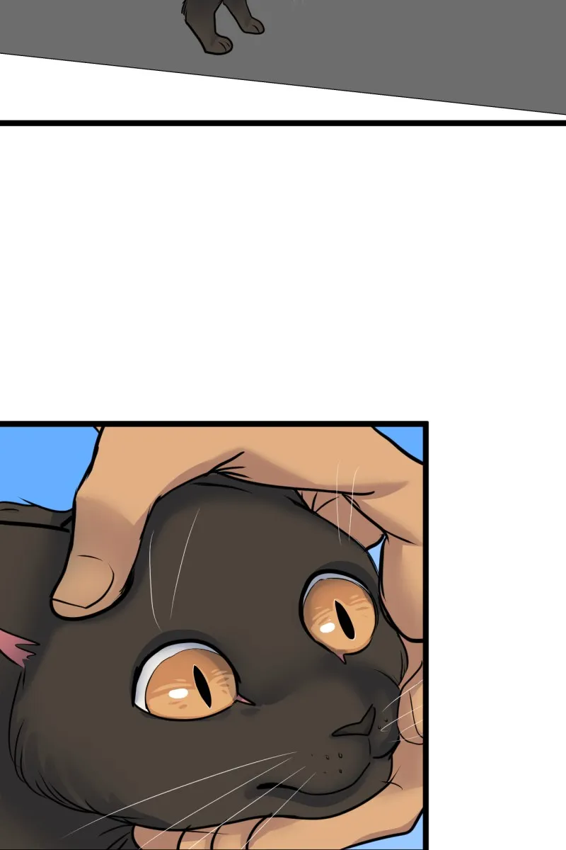 Brimstone and Roses Chapter 91 page 21 - 