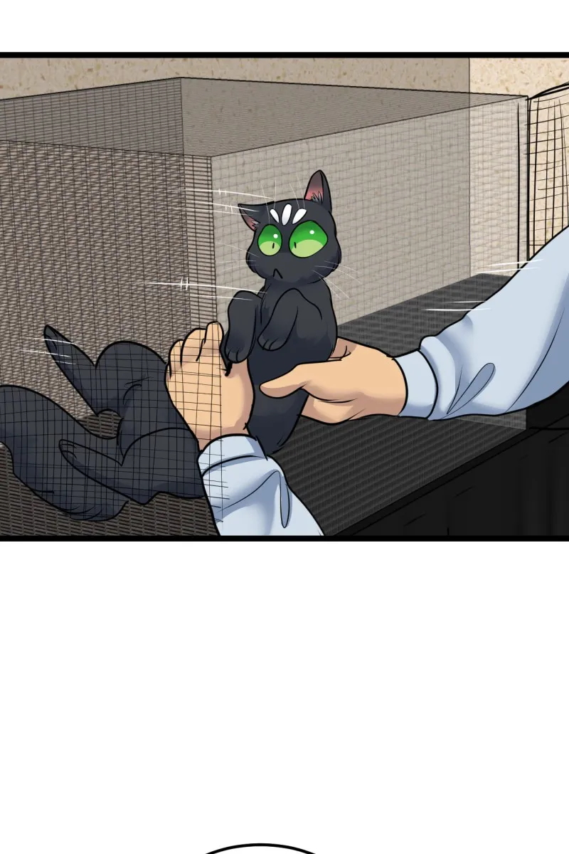 Brimstone and Roses Chapter 91 page 29 - 