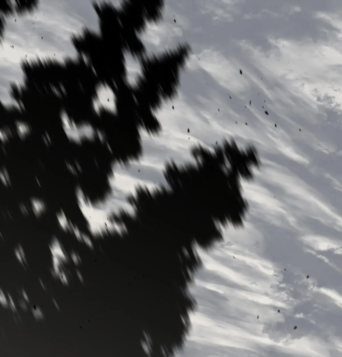Read Broken Bloodline chapter 24.99 image 2 on Lezhin