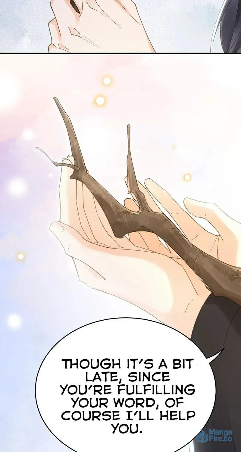 Read Broken Branches chapter 10 image 49 on Lezhin