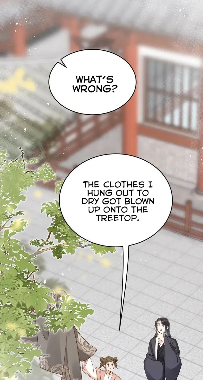 Read Broken Branches chapter 5 image 20 on Lezhin