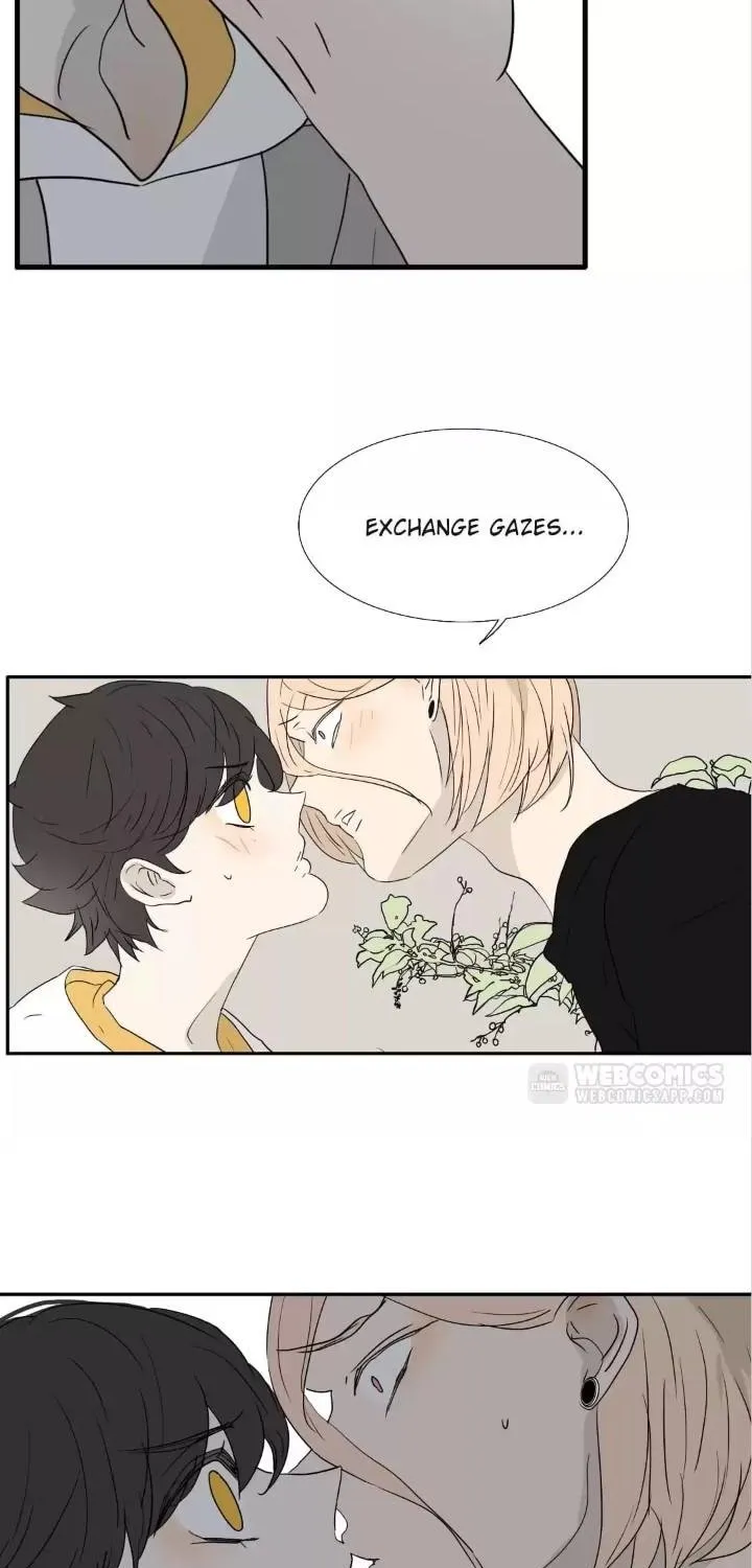 Read Bromance ( 18 Bu Xian ) chapter 172 image 25 on Lezhin