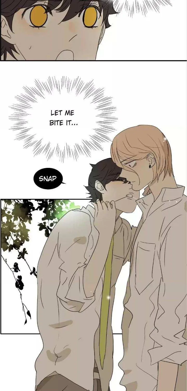 Read Bromance ( 18 Bu Xian ) chapter 173 image 20 on Lezhin