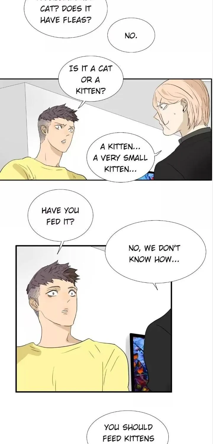 Read Bromance ( 18 Bu Xian ) chapter 174 image 23 on Lezhin