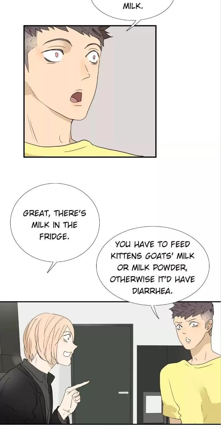 Read Bromance ( 18 Bu Xian ) chapter 174 image 24 on Lezhin
