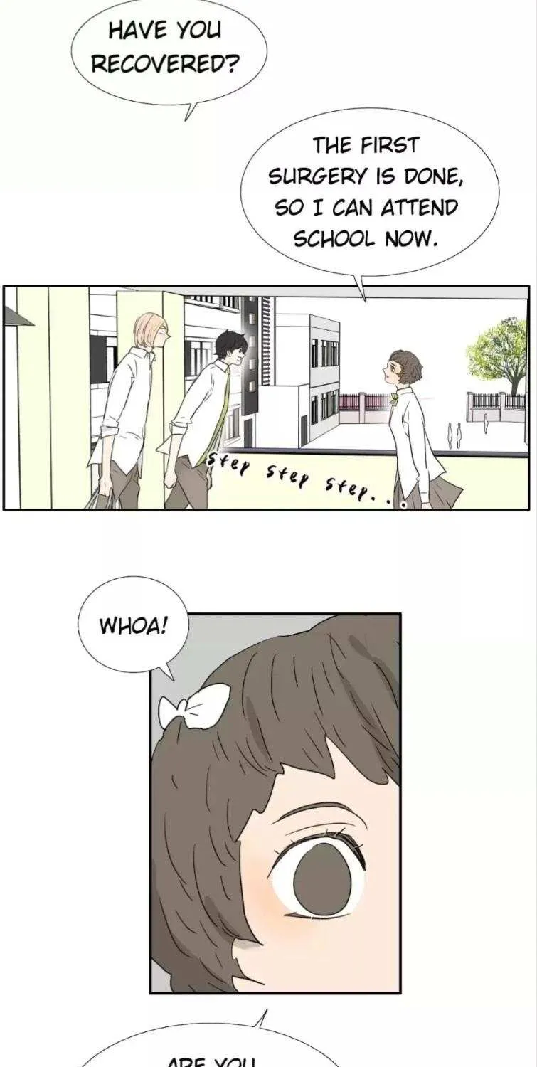 Read Bromance ( 18 Bu Xian ) chapter 255 image 2 on Lezhin