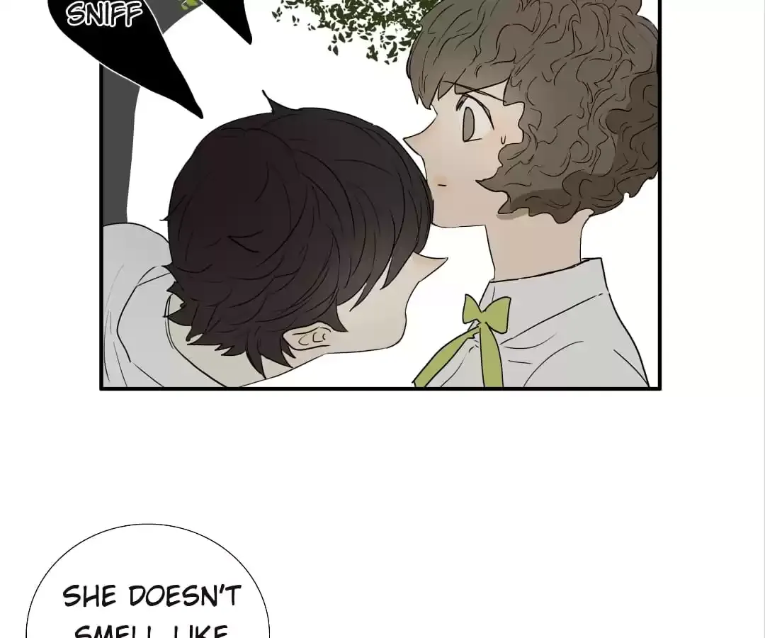 Read Bromance ( 18 Bu Xian ) chapter 262 image 19 on Lezhin