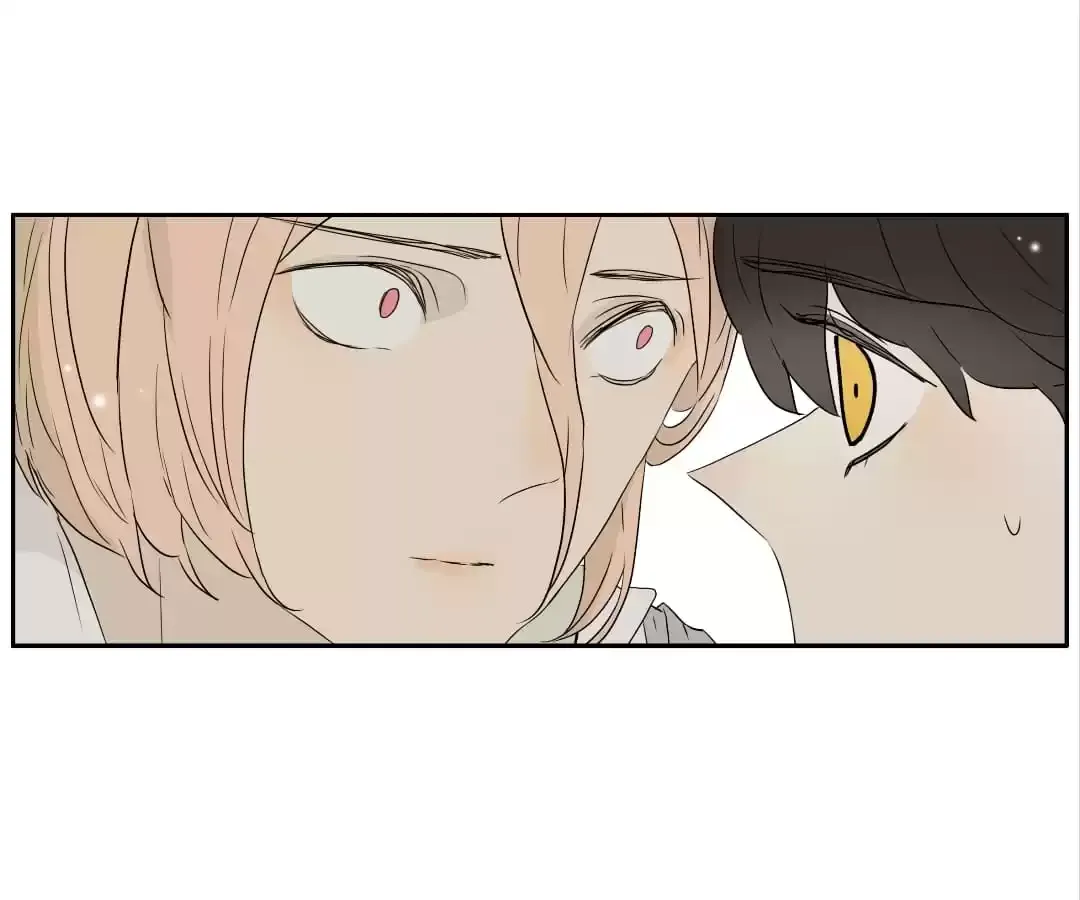 Read Bromance ( 18 Bu Xian ) chapter 264 image 25 on Lezhin