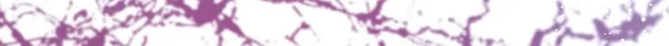 Read Brother Knows Best chapter 74 image 49 on Lezhin