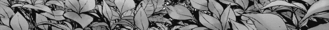 Read Btooom! chapter 9 image 7 on Lezhin