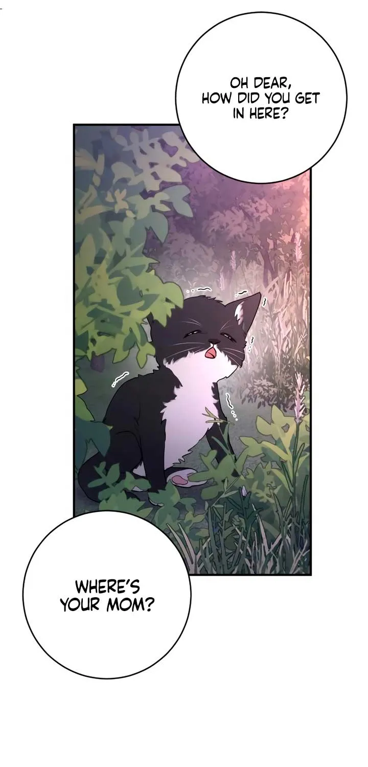 Read Bullshit chapter 11 image 29 on Lezhin