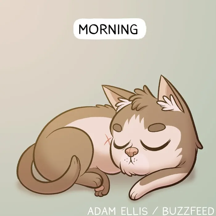 Read BuzzFeed Comics chapter 403 image 1 on Lezhin