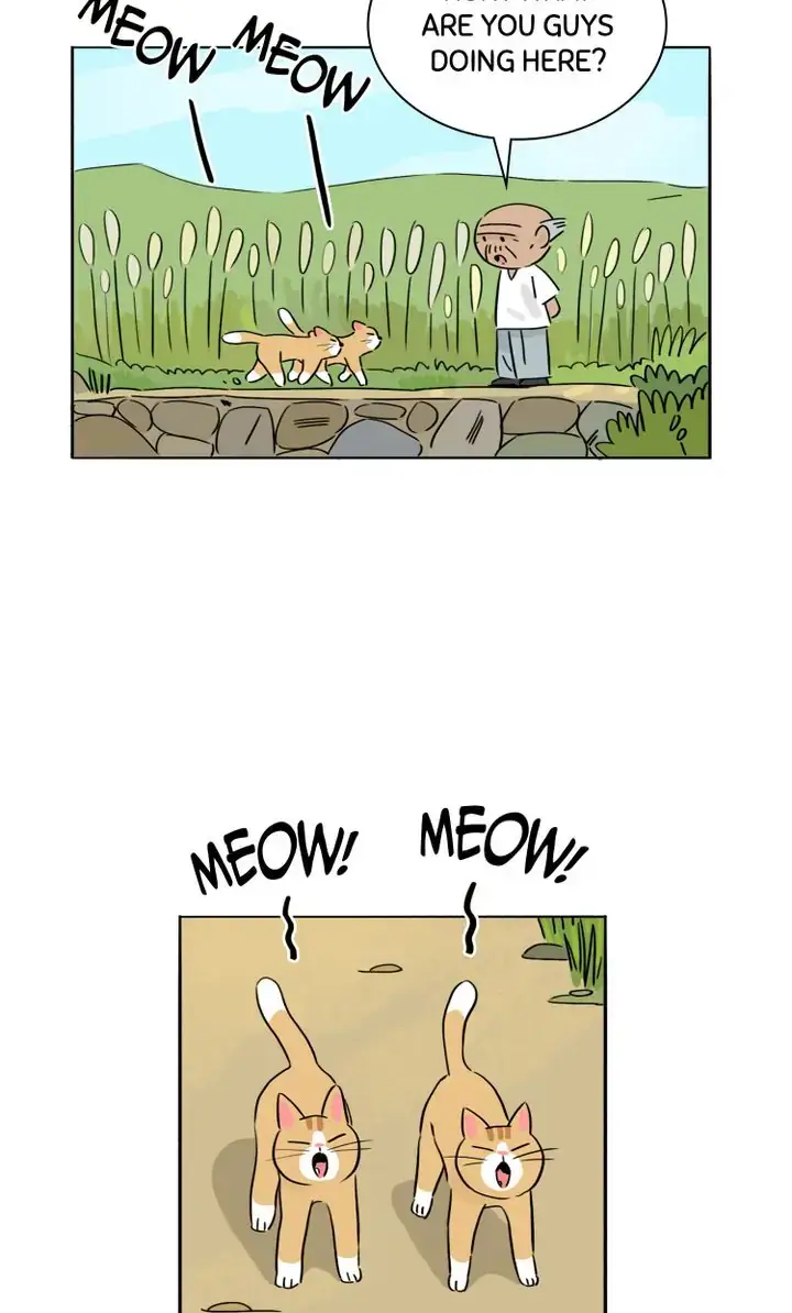Read By My Side chapter 25 image 26 on Lezhin