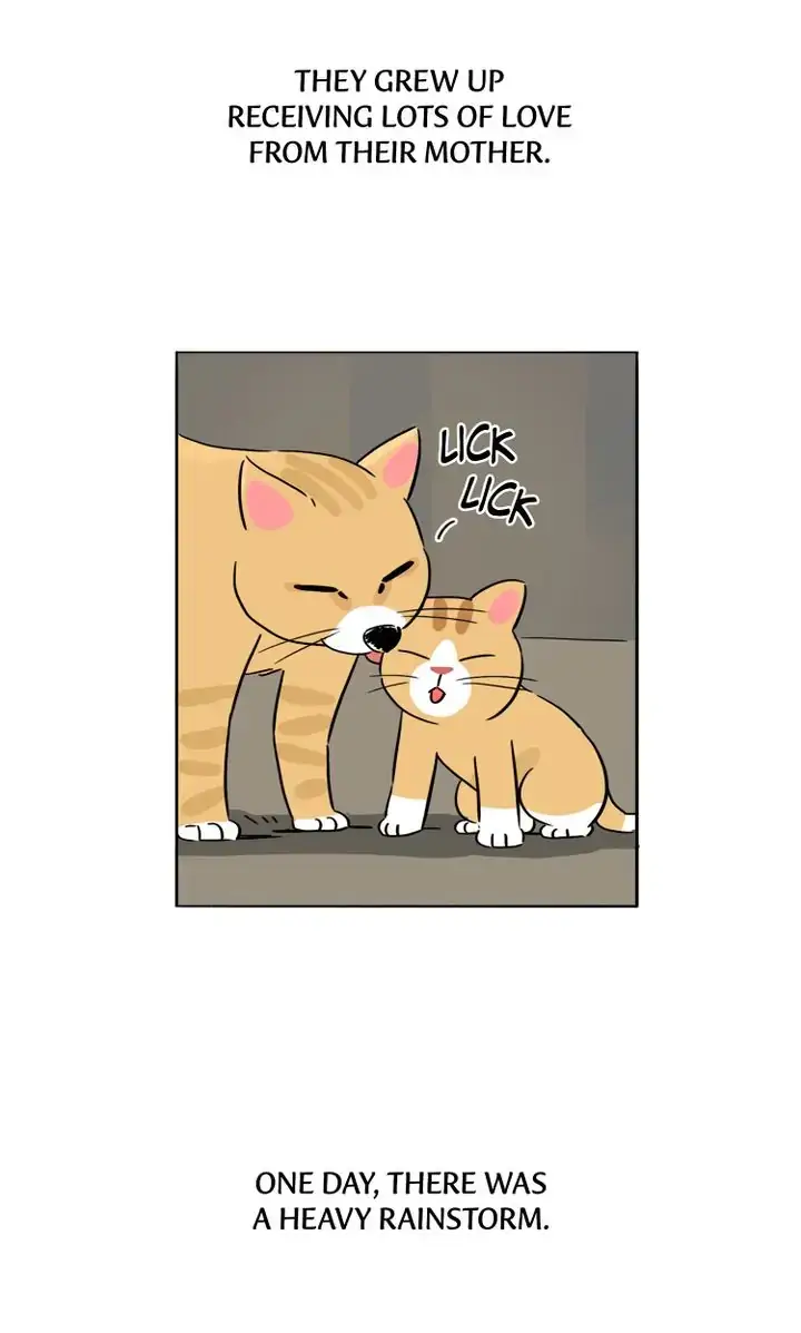 Read By My Side chapter 26 image 10 on Lezhin
