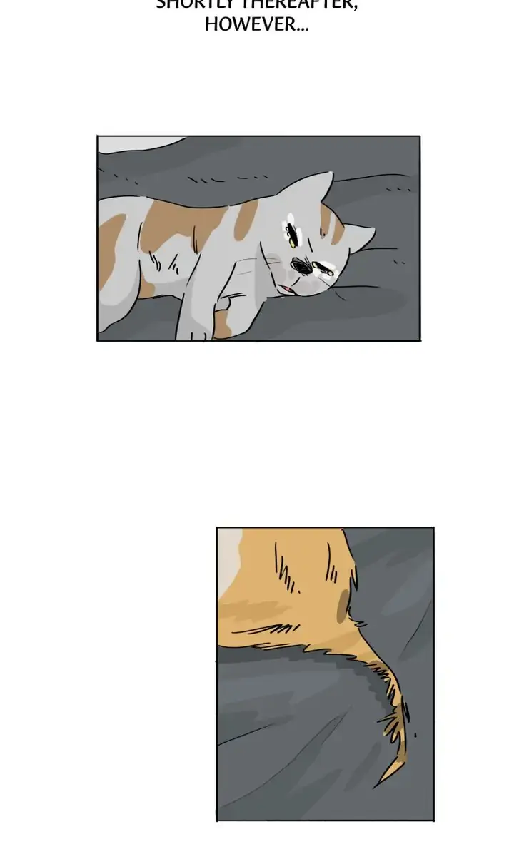Read By My Side chapter 26 image 16 on Lezhin