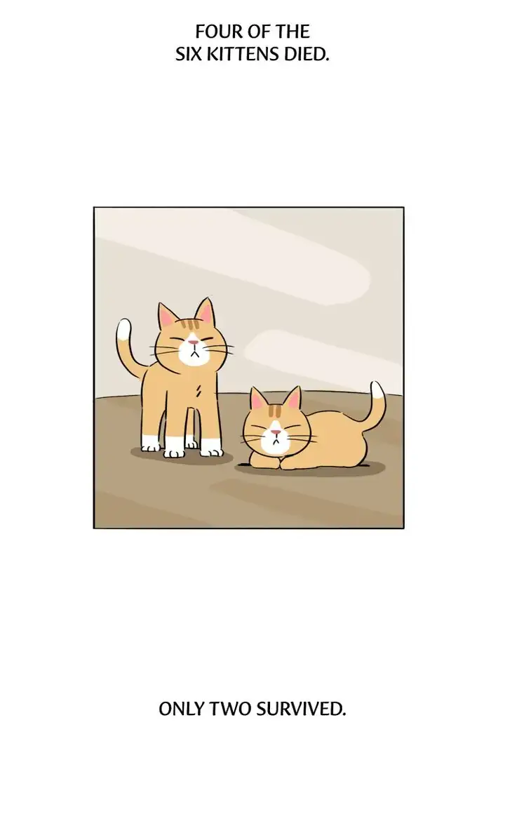 Read By My Side chapter 26 image 18 on Lezhin