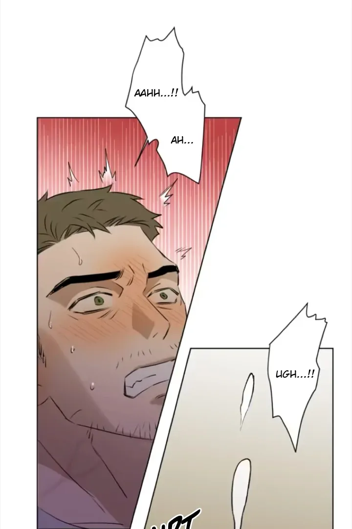 Read C-Class Esper