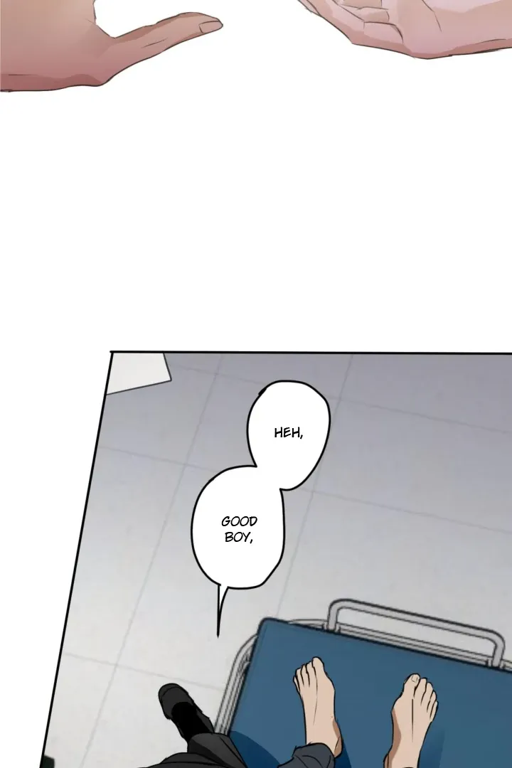 Read C-Class Esper