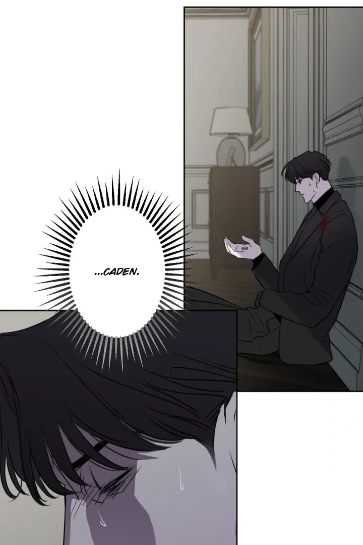 Read C-Class Esper
