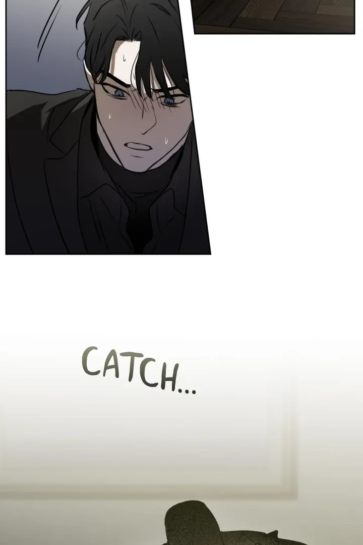 Read C-Class Esper