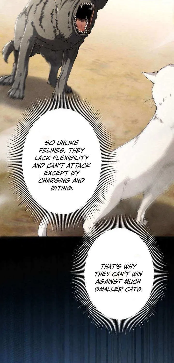 Read Calamity Leveling chapter 44 image 33 on Lezhin
