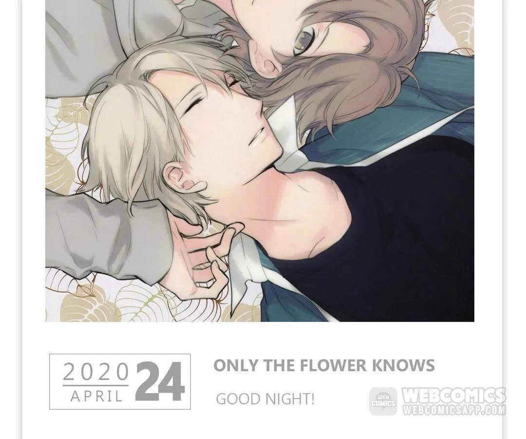 Read Calendrier Vengeur chapter 413 image 1 on Lezhin
