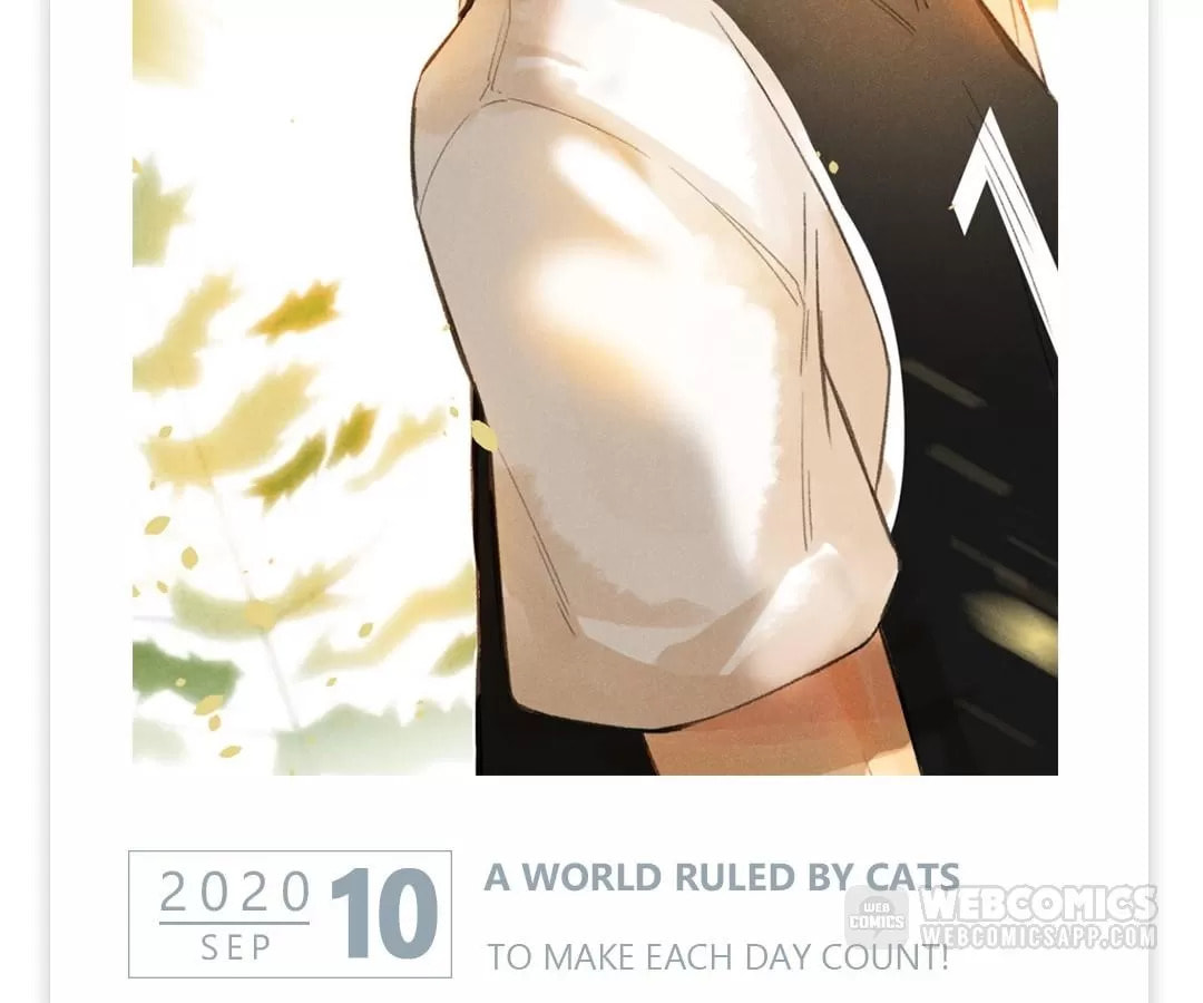 Read Calendrier Vengeur chapter 554 image 1 on Lezhin