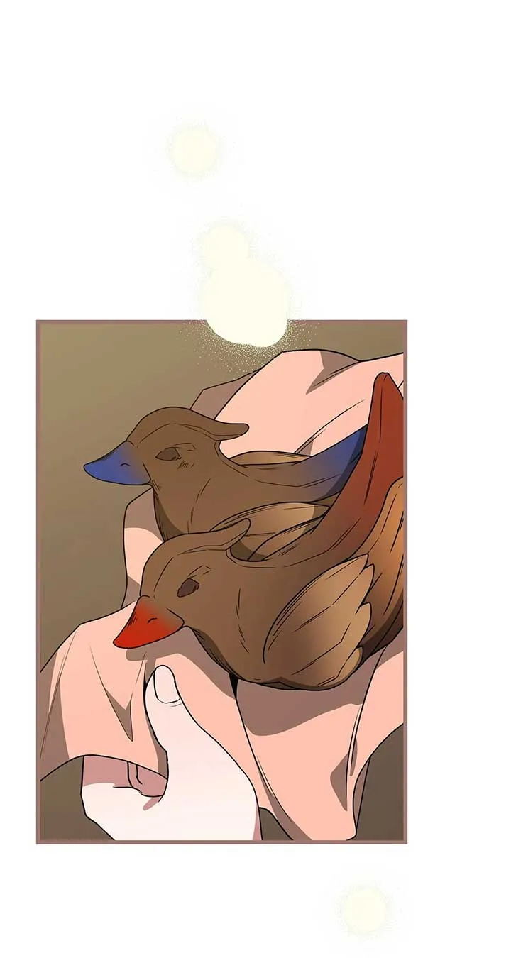 Read Camellia chapter 41 image 64 on Lezhin