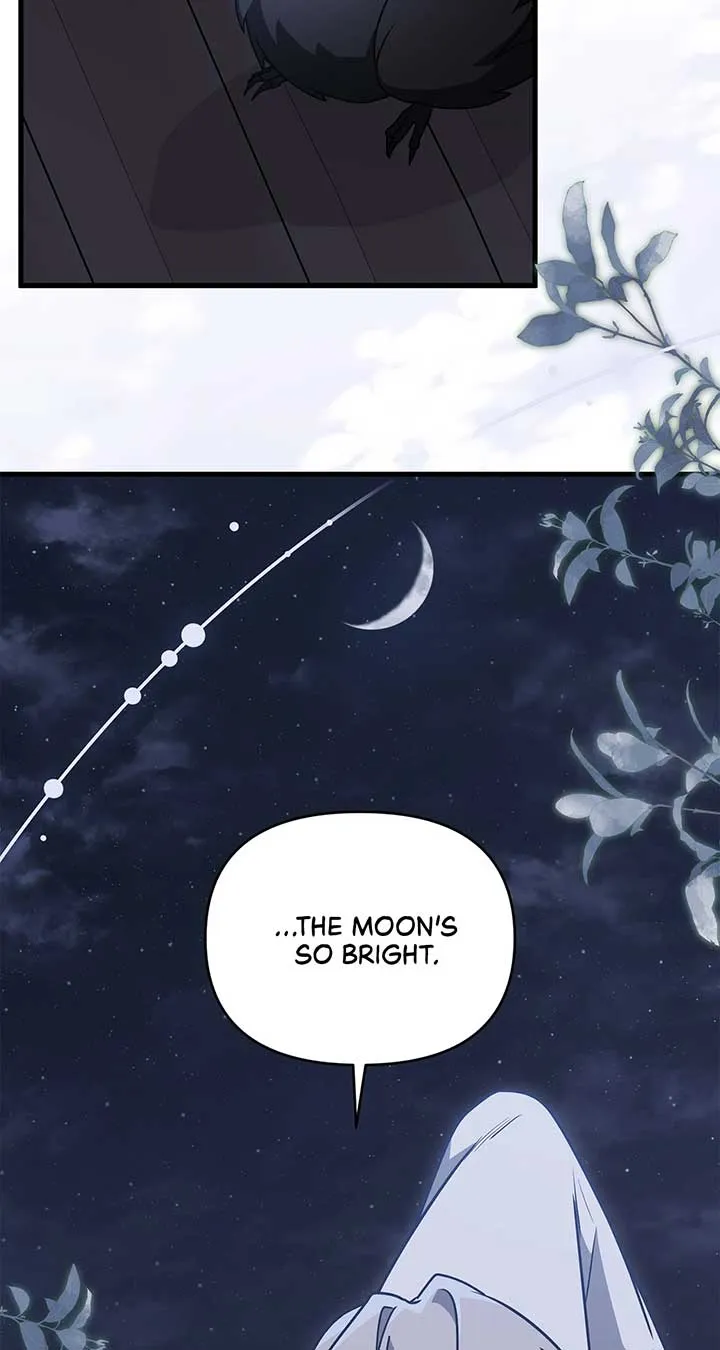 Read Camellia chapter 43 image 64 on Lezhin